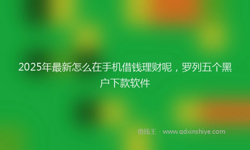 2025年最新怎么在手机借钱理财呢，罗列五个黑户下款软件