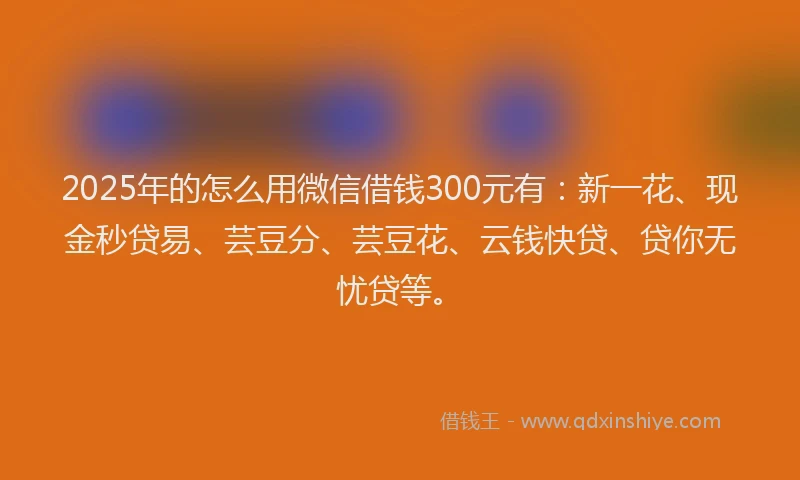 2025年的怎么用微信借钱300元有：新一花、现金秒贷易、芸豆分、芸豆花、云钱快贷、贷你无忧贷等。
