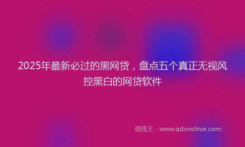 2025年最新必过的黑网贷，盘点五个真正无视风控黑白的网贷软件
