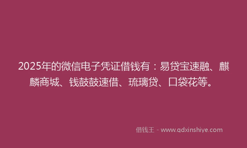 2025年的微信电子凭证借钱有：易贷宝速融、麒麟商城、钱鼓鼓速借、琉璃贷、口袋花等。