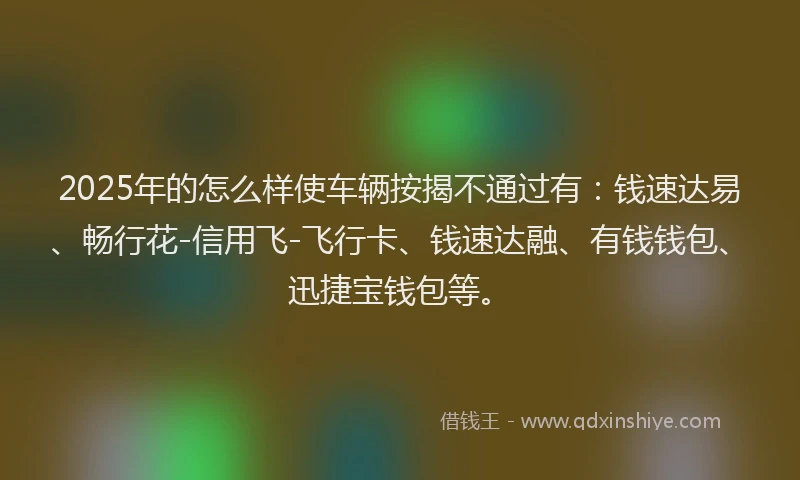 2025年的怎么样使车辆按揭不通过有：钱速达易、畅行花-信用飞-飞行卡、钱速达融、有钱钱包、迅捷宝钱包等。