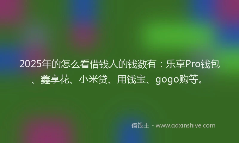 2025年的怎么看借钱人的钱数有：乐享Pro钱包、鑫享花、小米贷、用钱宝、gogo购等。