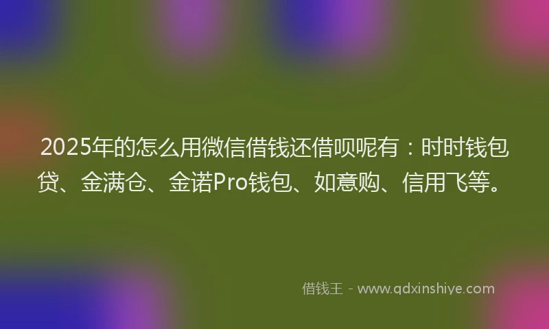 2025年的怎么用微信借钱还借呗呢有：时时钱包贷、金满仓、金诺Pro钱包、如意购、信用飞等。