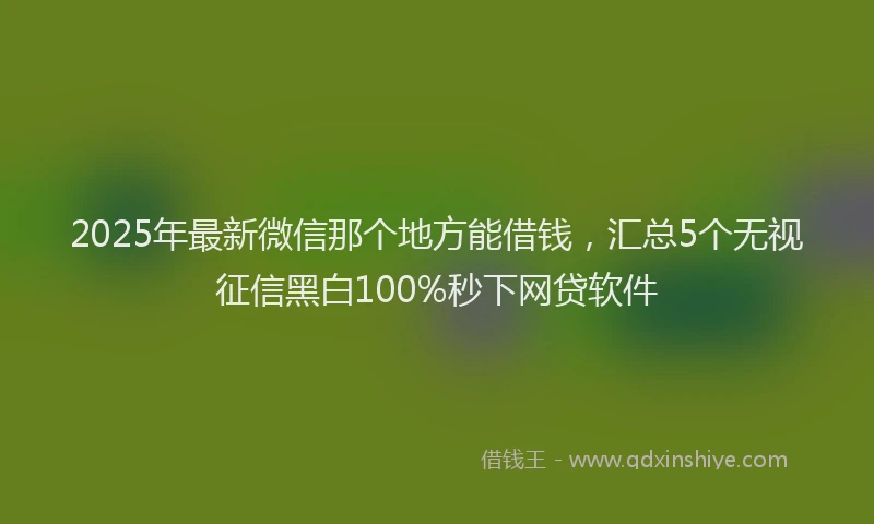 2025年最新微信那个地方能借钱，汇总5个无视征信黑白100%秒下网贷软件