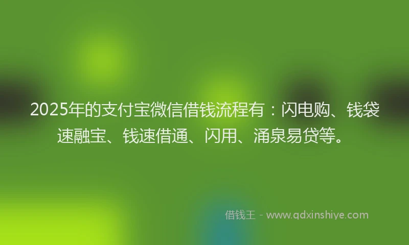 2025年的支付宝微信借钱流程有：闪电购、钱袋速融宝、钱速借通、闪用、涌泉易贷等。