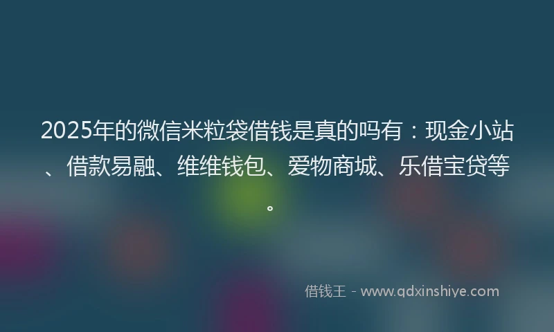 2025年的微信米粒袋借钱是真的吗有：现金小站、借款易融、维维钱包、爱物商城、乐借宝贷等。