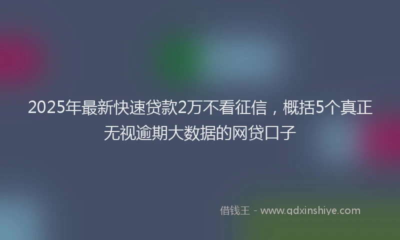 2025年最新快速贷款2万不看征信，概括5个真正无视逾期大数据的网贷口子
