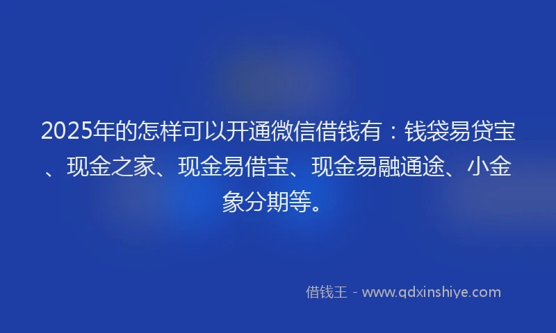 2025年的怎样可以开通微信借钱有：钱袋易贷宝、现金之家、现金易借宝、现金易融通途、小金象分期等。