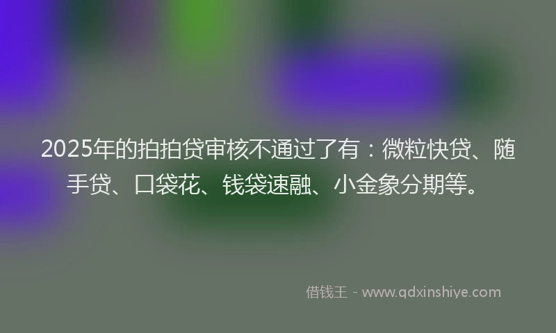 2025年的拍拍贷审核不通过了有：微粒快贷、随手贷、口袋花、钱袋速融、小金象分期等。