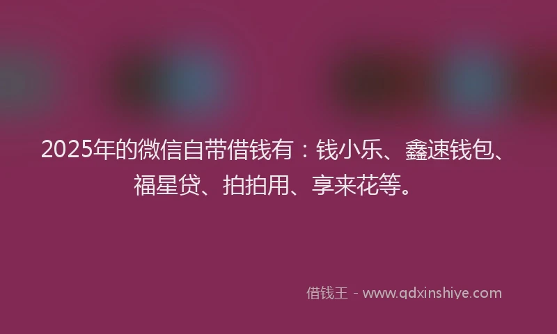2025年的微信自带借钱有：钱小乐、鑫速钱包、福星贷、拍拍用、享来花等。