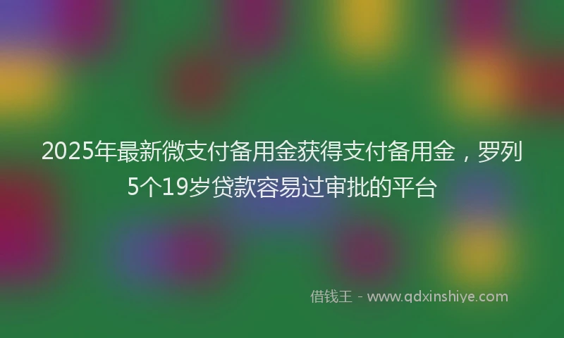 2025年最新微支付备用金获得支付备用金，罗列5个19岁贷款容易过审批的平台