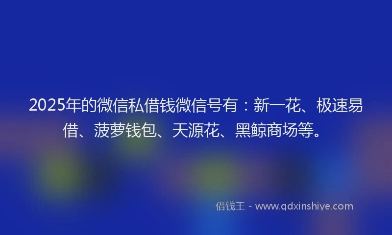 2025年的微信私借钱微信号有：新一花、极速易借、菠萝钱包、天源花、黑鲸商场等。
