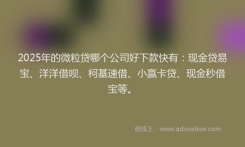 2025年的微粒贷哪个公司好下款快有：现金贷易宝、洋洋借呗、柯基速借、小赢卡贷、现金秒借宝等。