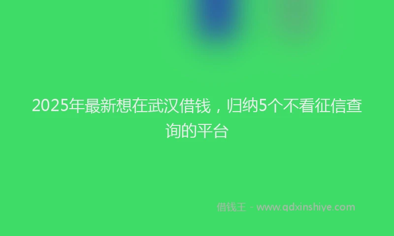 2025年最新想在武汉借钱，归纳5个不看征信查询的平台