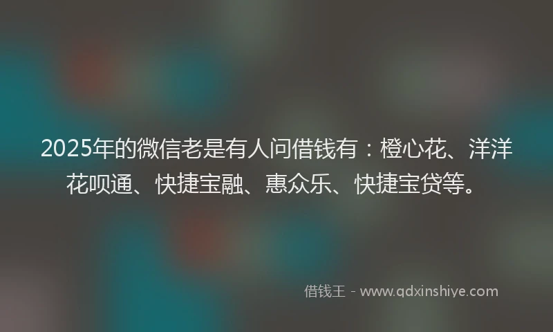 2025年的微信老是有人问借钱有：橙心花、洋洋花呗通、快捷宝融、惠众乐、快捷宝贷等。