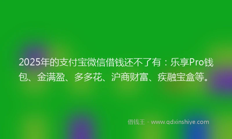 2025年的支付宝微信借钱还不了有：乐享Pro钱包、金满盈、多多花、沪商财富、疾融宝盒等。