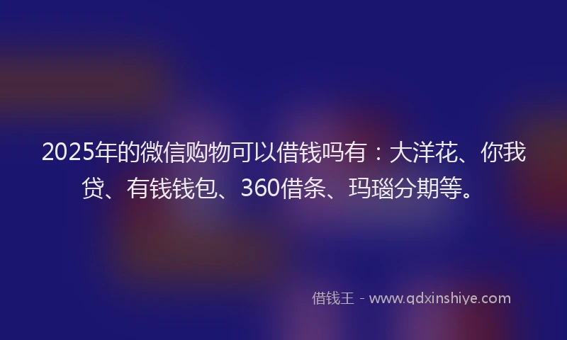 2025年的微信购物可以借钱吗有：大洋花、你我贷、有钱钱包、360借条、玛瑙分期等。