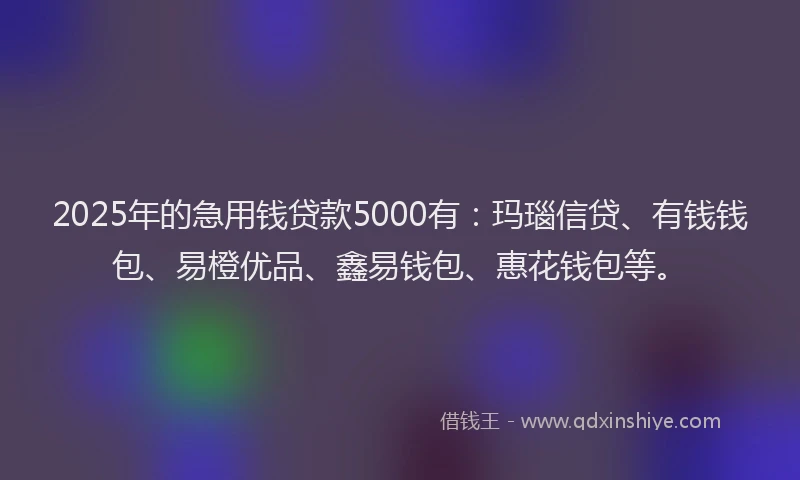 2025年的急用钱贷款5000有：玛瑙信贷、有钱钱包、易橙优品、鑫易钱包、惠花钱包等。