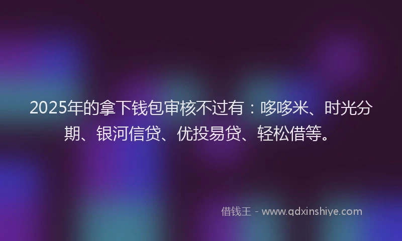 2025年的拿下钱包审核不过有：哆哆米、时光分期、银河信贷、优投易贷、轻松借等。