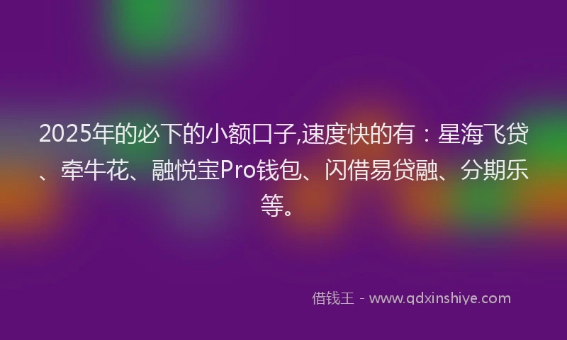 2025年的必下的小额口子,速度快的有：星海飞贷、牵牛花、融悦宝Pro钱包、闪借易贷融、分期乐等。