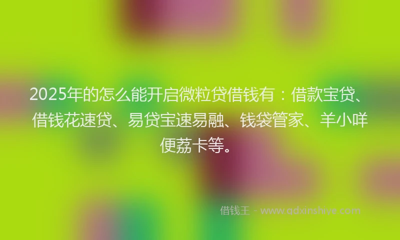 2025年的怎么能开启微粒贷借钱有：借款宝贷、借钱花速贷、易贷宝速易融、钱袋管家、羊小咩便荔卡等。