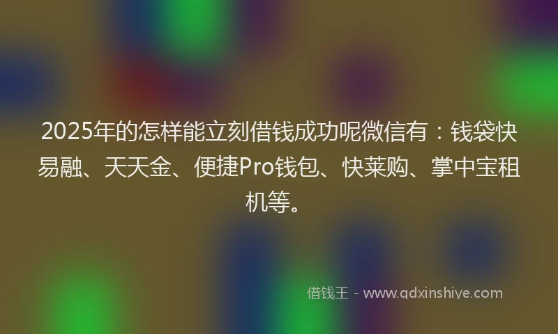 2025年的怎样能立刻借钱成功呢微信有：钱袋快易融、天天金、便捷Pro钱包、快莱购、掌中宝租机等。