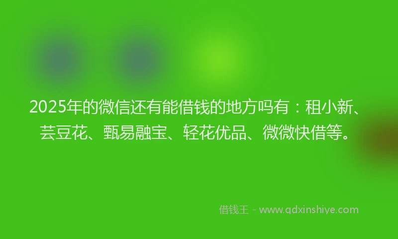 2025年的微信还有能借钱的地方吗有：租小新、芸豆花、甄易融宝、轻花优品、微微快借等。
