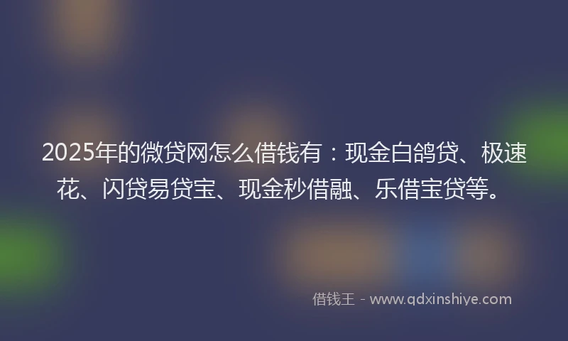 2025年的微贷网怎么借钱有：现金白鸽贷、极速花、闪贷易贷宝、现金秒借融、乐借宝贷等。