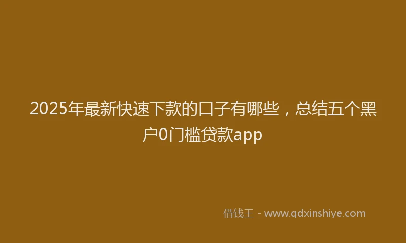2025年最新快速下款的口子有哪些，总结五个黑户0门槛贷款app