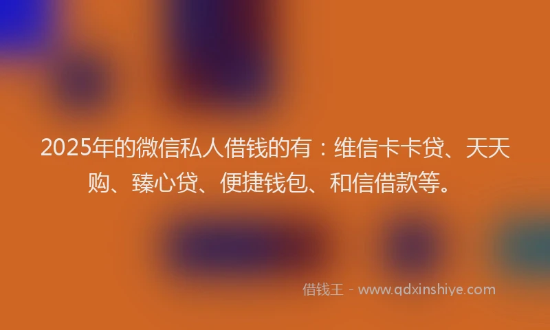 2025年的微信私人借钱的有：维信卡卡贷、天天购、臻心贷、便捷钱包、和信借款等。