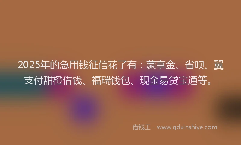 2025年的急用钱征信花了有：蒙享金、省呗、翼支付甜橙借钱、福瑞钱包、现金易贷宝通等。