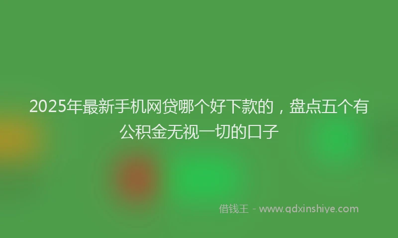 2025年最新手机网贷哪个好下款的，盘点五个有公积金无视一切的口子