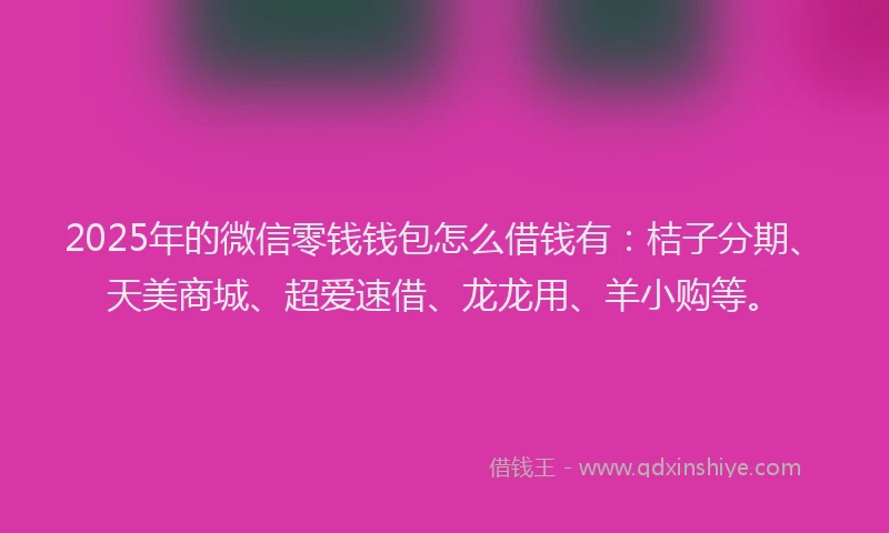 2025年的微信零钱钱包怎么借钱有：桔子分期、天美商城、超爱速借、龙龙用、羊小购等。