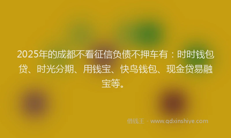 2025年的成都不看征信负债不押车有：时时钱包贷、时光分期、用钱宝、快鸟钱包、现金贷易融宝等。