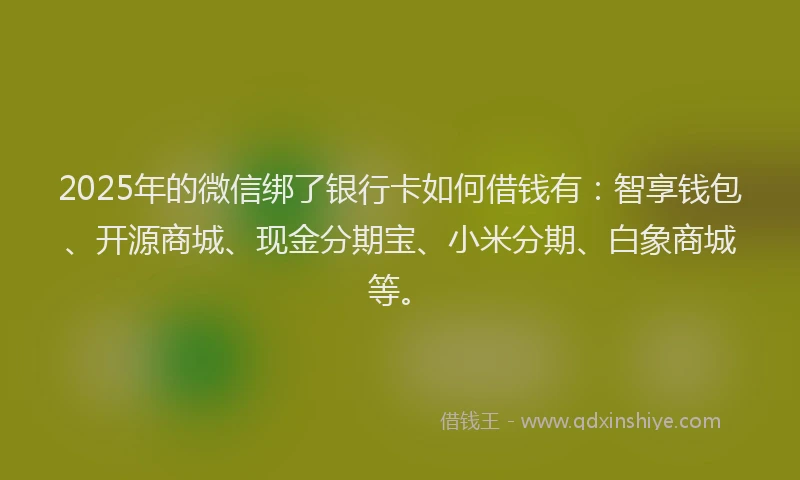 2025年的微信绑了银行卡如何借钱有：智享钱包、开源商城、现金分期宝、小米分期、白象商城等。