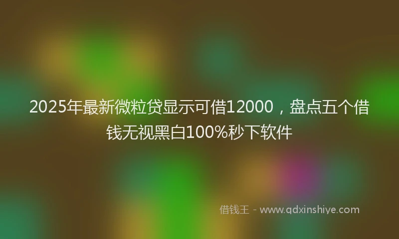 2025年最新微粒贷显示可借12000，盘点五个借钱无视黑白100%秒下软件