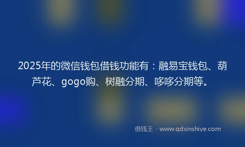 2025年的微信钱包借钱功能有：融易宝钱包、葫芦花、gogo购、树融分期、哆哆分期等。