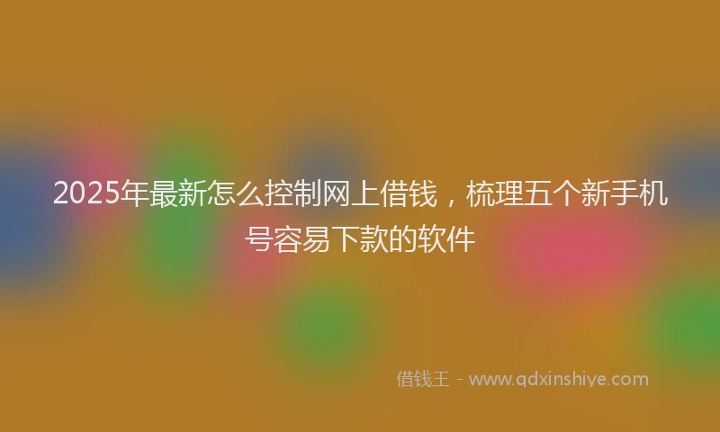 2025年最新怎么控制网上借钱，梳理五个新手机号容易下款的软件