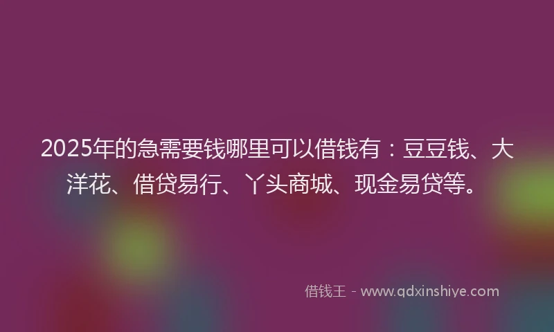 2025年的急需要钱哪里可以借钱有：豆豆钱、大洋花、借贷易行、丫头商城、现金易贷等。