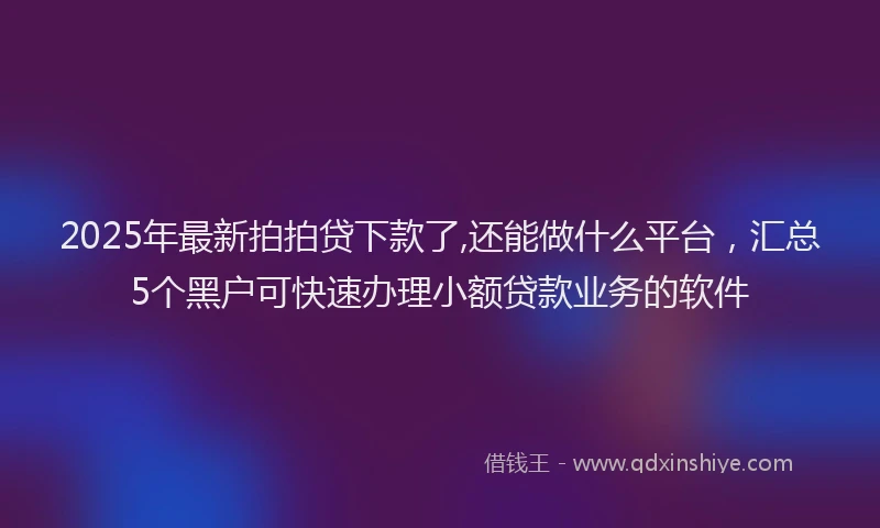 2025年最新拍拍贷下款了,还能做什么平台，汇总5个黑户可快速办理小额贷款业务的软件