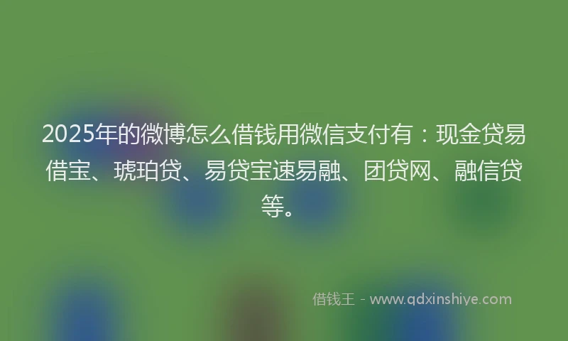 2025年的微博怎么借钱用微信支付有：现金贷易借宝、琥珀贷、易贷宝速易融、团贷网、融信贷等。