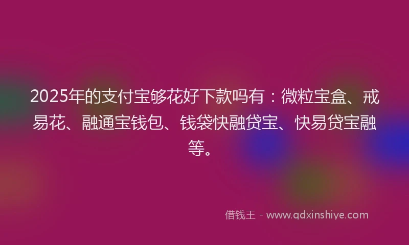 2025年的支付宝够花好下款吗有：微粒宝盒、戒易花、融通宝钱包、钱袋快融贷宝、快易贷宝融等。