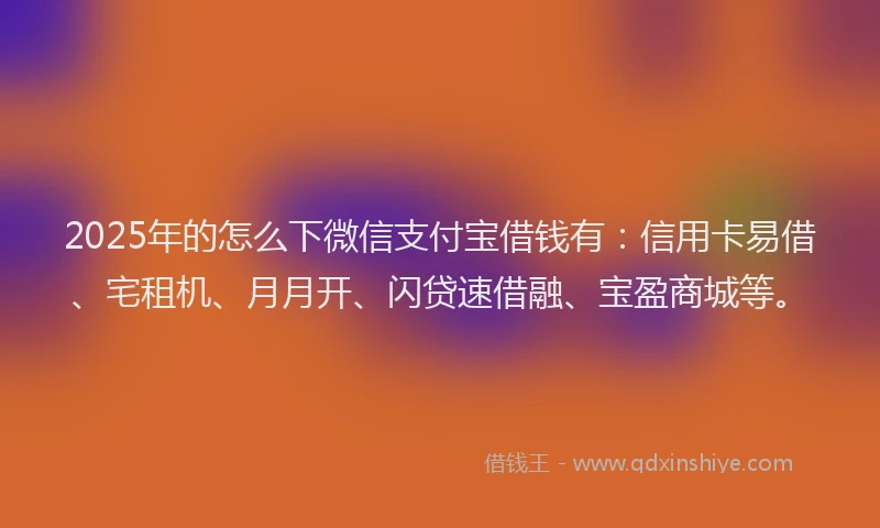 2025年的怎么下微信支付宝借钱有：信用卡易借、宅租机、月月开、闪贷速借融、宝盈商城等。