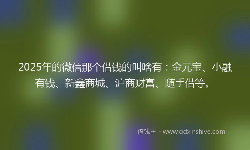 2025年的微信那个借钱的叫啥有：金元宝、小融有钱、新鑫商城、沪商财富、随手借等。