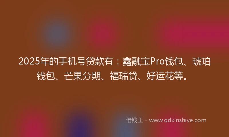 2025年的手机号贷款有：鑫融宝Pro钱包、琥珀钱包、芒果分期、福瑞贷、好运花等。