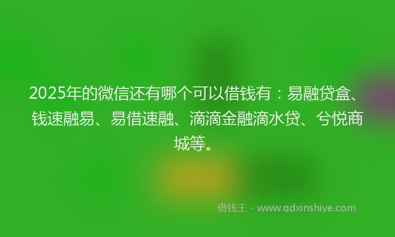2025年的微信还有哪个可以借钱有：易融贷盒、钱速融易、易借速融、滴滴金融滴水贷、兮悦商城等。