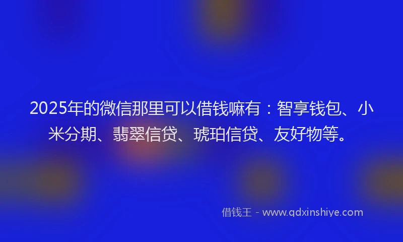 2025年的微信那里可以借钱嘛有：智享钱包、小米分期、翡翠信贷、琥珀信贷、友好物等。