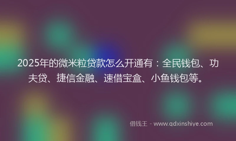 2025年的微米粒贷款怎么开通有：全民钱包、功夫贷、捷信金融、速借宝盒、小鱼钱包等。