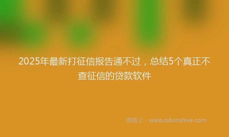 2025年最新打征信报告通不过，总结5个真正不查征信的贷款软件