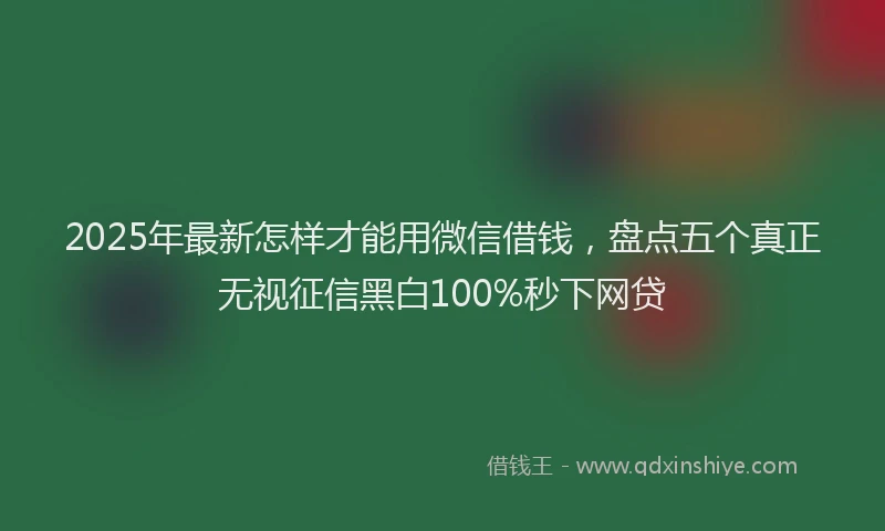 2025年最新怎样才能用微信借钱，盘点五个真正无视征信黑白100%秒下网贷